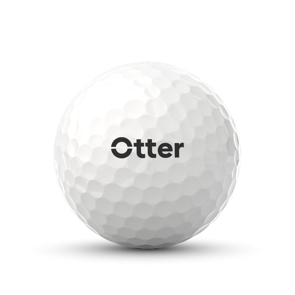 Titleist Pro V1 (1 Dozen)